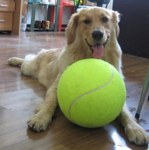 Dog rubber molar tennis